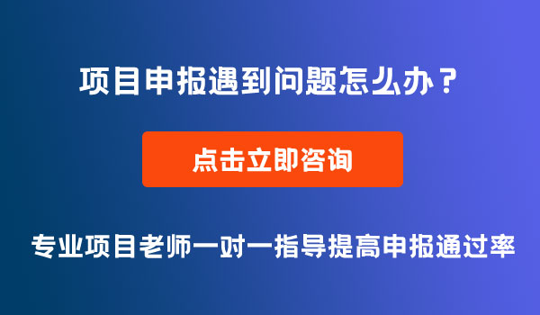 项目申报常见问题